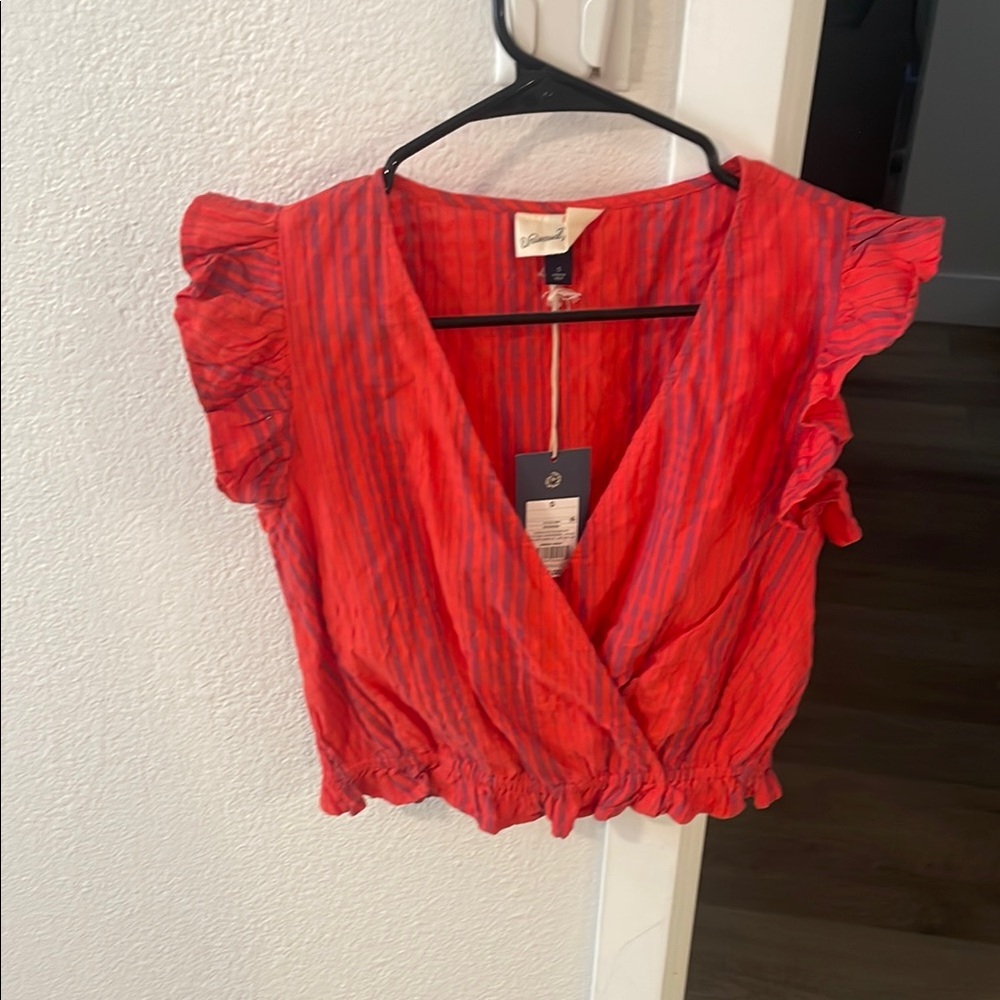 Universal Thread Red and Blue Striped Crop Top